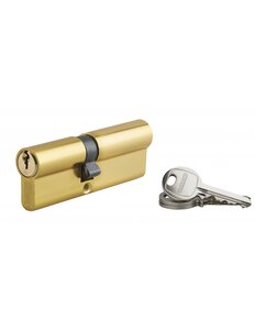 SP - Cylindre de serrure à double entrée Ecopro  40x50mm  laiton  3 clés