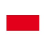 Paquet de 25 cartes simples 210g 106x213 rouge groseille clairefontaine