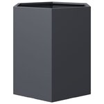 vidaXL Jardinières 2 Pièces anthracite hexagone 46x40x45 cm acier