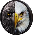 Pièce de monnaie en Argent 20 Dollars g 93.3 (3 oz) Millésime 2024 Day and Night BALD EAGLE