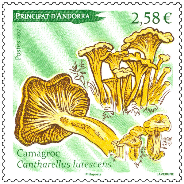 Timbre Andorre - Camagroc - Cantharellus lutescens