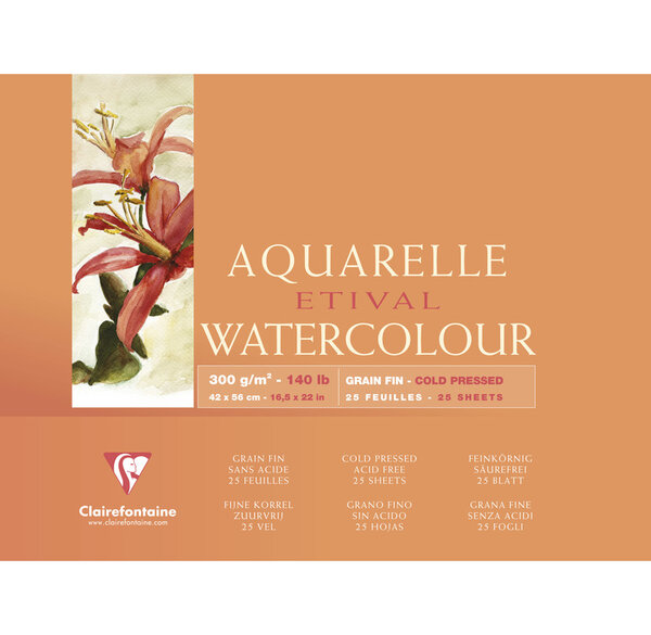 Bloc Etival grain fin 42x56 25F 300g encollé 4 côtés CLAIREFONTAINE