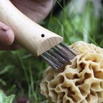 Couteau à champignon Opinel - 8 cm