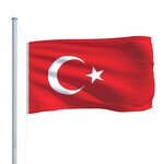 vidaXL Drapeau Turquie 90x150 cm