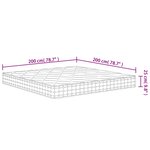 vidaXL Matelas à ressorts ensachés dureté moyenne 200x200 cm