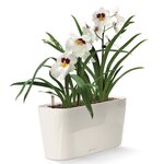 Lechuza jardinière de table delta 20 all-in-one blanc brillant 15560
