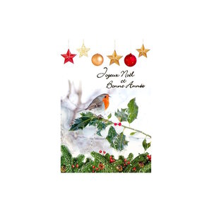 Carte De Voeux - Joyeux Noel Bonne Année Rouge Gorge Sur Une Branche De Houx