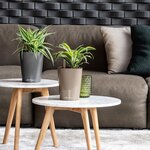 LECHUZA Jardinière DELTINI ALL-IN-ONE Charbon métallique
