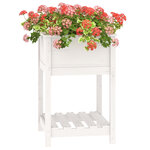 vidaXL Jardinière avec étagère Blanc 54x54x81 cm Bois massif de pin