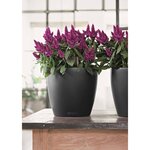 LECHUZA Jardinière Classico Color 43 ALL-IN-ONE Ardoise 13244