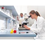 Maqueur spécial labOratoire 8015 f noir 0 75 mm x 10 EDDING