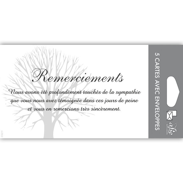 Lot 5 cartes remerciements condoléances +5 enveloppes blanches format 9x14cm
