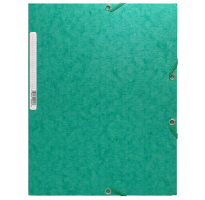 Chemise 3 rabats élastique 'scotten'carte lust. 425g nature future 24x32 cm Vert EXACOMPTA