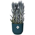 Pot de fleurs Rond VIBES - Plastique - Ø 25 - Bleu Foncé