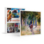 SMARTBOX - Coffret Cadeau Leçon d'équitation ou agréable balade à cheval -  Sport & Aventure