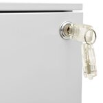 vidaXL Classeur mobile Gris clair 39x45x60 cm Acier