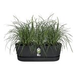 Pot de fleurs Noir - Balcon - 21 x 52 x 19.4 cm