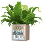 LECHUZA Jardinière Canto Color Square 40 ALL-IN-ONE Beige 13721