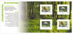 Collector 4 timbres - Champignons de printemps - Lettre Verte