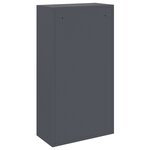 vidaXL Boîte à colis Anthracite 44x22x82 cm Acier