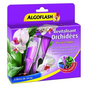 ALGOFLASH Monodose Revitalisante Orchidées - 30 ml