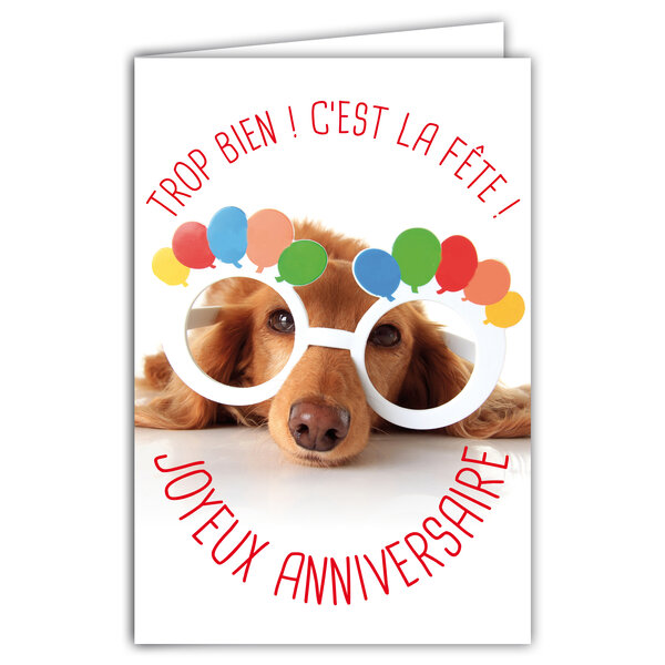 Carte Joyeux Anniversaire Humoristique avec Enveloppe Illustrée format 17 5x12cm Chien Drôle Amusant Rigolo Déguisé avec des Lunettes pour faire la Fête - Création Fabrication française 69-6201