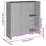 Cabinet de rangement vidaXL Beige 100x36x102 cm Rattan