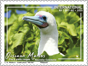 Timbre Nouvelle Calédonie - Oiseaux marins