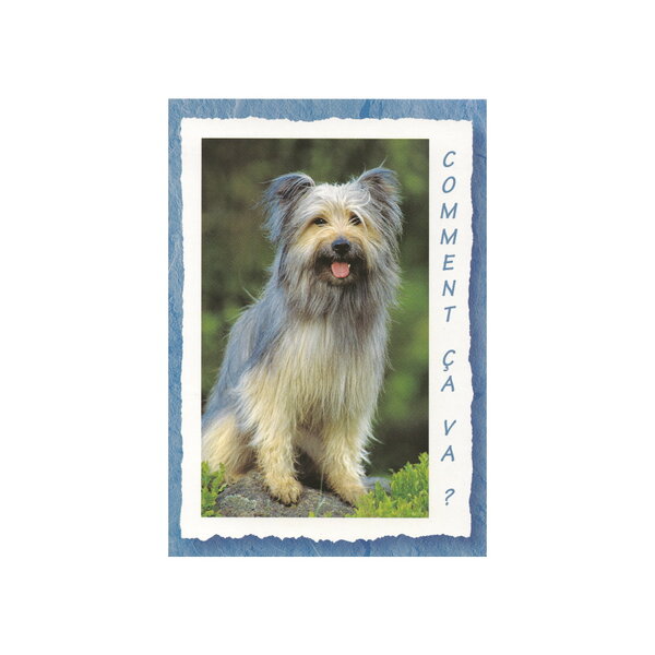 Carte message - chien  "comment ca va  "