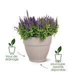 Vibia Campana Bac à fleurs Rond 55 - Gris Ø 55 x 47 cm