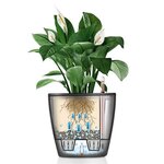 LECHUZA Jardinière de table CLASSICO LS 21 ALL-IN-ONE blanc brillant