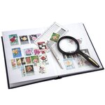 PERFECTA : Classeur fixe pour timbres (Petit modèle-Pages Blanches-32p. Noir)