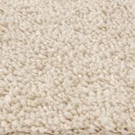 vidaXL Tapis Shaggy à Haute Pile Crème 160x160 cm PP