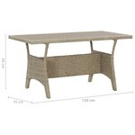 vidaXL Table de jardin Gris 120x70x66 cm Résine tressée