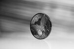 Pièce de monnaie en Argent 5 Dollars g 31.1 (1 oz) Millésime 2025 BUTTERFLY