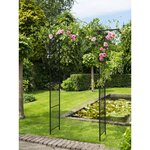 Nature Arche de jardin Métal 114x66x232 cm Noir