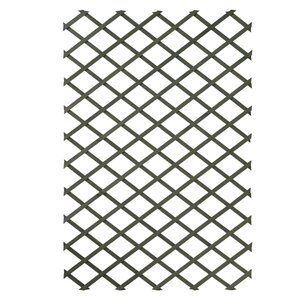 Nature Palissades de jardin 2 Pièces 100 x 200 cm Bois Vert