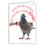 Carte DÉPART vers de Nouvelles Aventures Message Humoristique avec Enveloppe Illustrée format 17 5x12cm Pigeon Drôle Amusant Rigolo - Déménagement ou Retraite - Création Fabrication française 69-6224