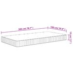 vidaXL Matelas à ressorts ensachés moyen 100x200 cm