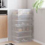 vidaXL Boîtes de rangement en plastique 6 Pièces 10 L empilables
