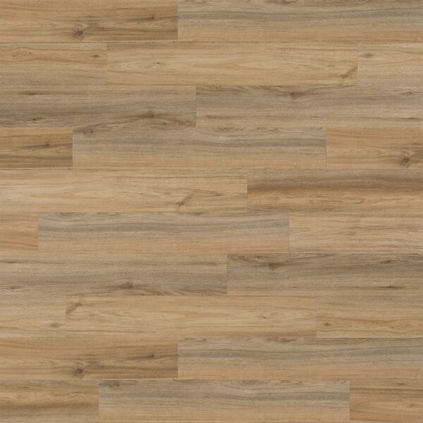 WallArt Planches d'aspect de bois Chêne naturel Marron latte