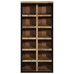 vidaXL Cabinet à chaussures 50x30x110 cm Bois brut de mangue
