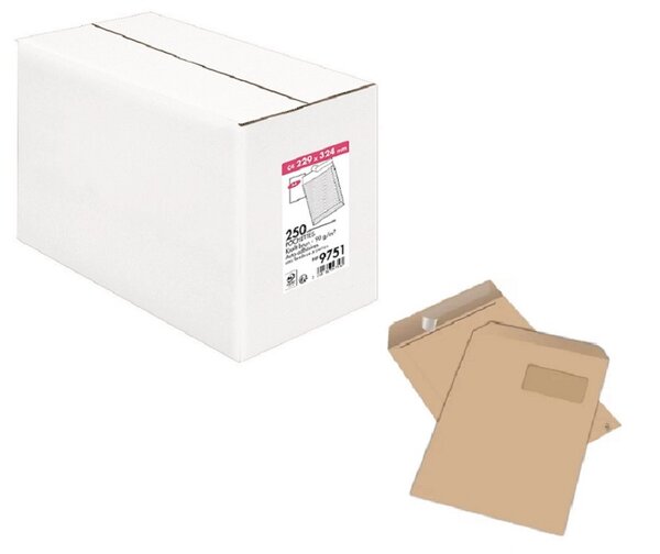 Lot de 250 pochettes kraft 229x324 Fenêtre 110x50