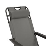 vidaXL Chaises longues pliables 2 Pièces avec repose-pied Acier Gris