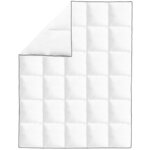 vidaXL Couette en duvet d'hiver 2 Pièces 150 x 200 cm