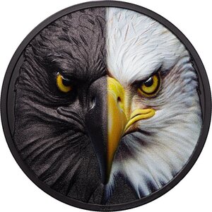 Pièce de monnaie en Argent 20 Dollars g 93.3 (3 oz) Millésime 2024 Day and Night BALD EAGLE