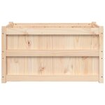 vidaXL Jardinières 2 Pièces bois de pin massif