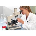 Maqueur spécial labOratoire 8015 f noir 0 75 mm x 10 EDDING