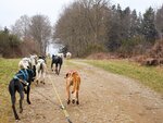 SMARTBOX - Coffret Cadeau Séjour au poil : 2 jours en gîte avec balade en Cani-Kart en famille près de Clermont-Ferrand -  Séjour