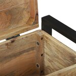 vidaXL Coffres de rangement 60x30x30cm en bois de manguier massif et métal